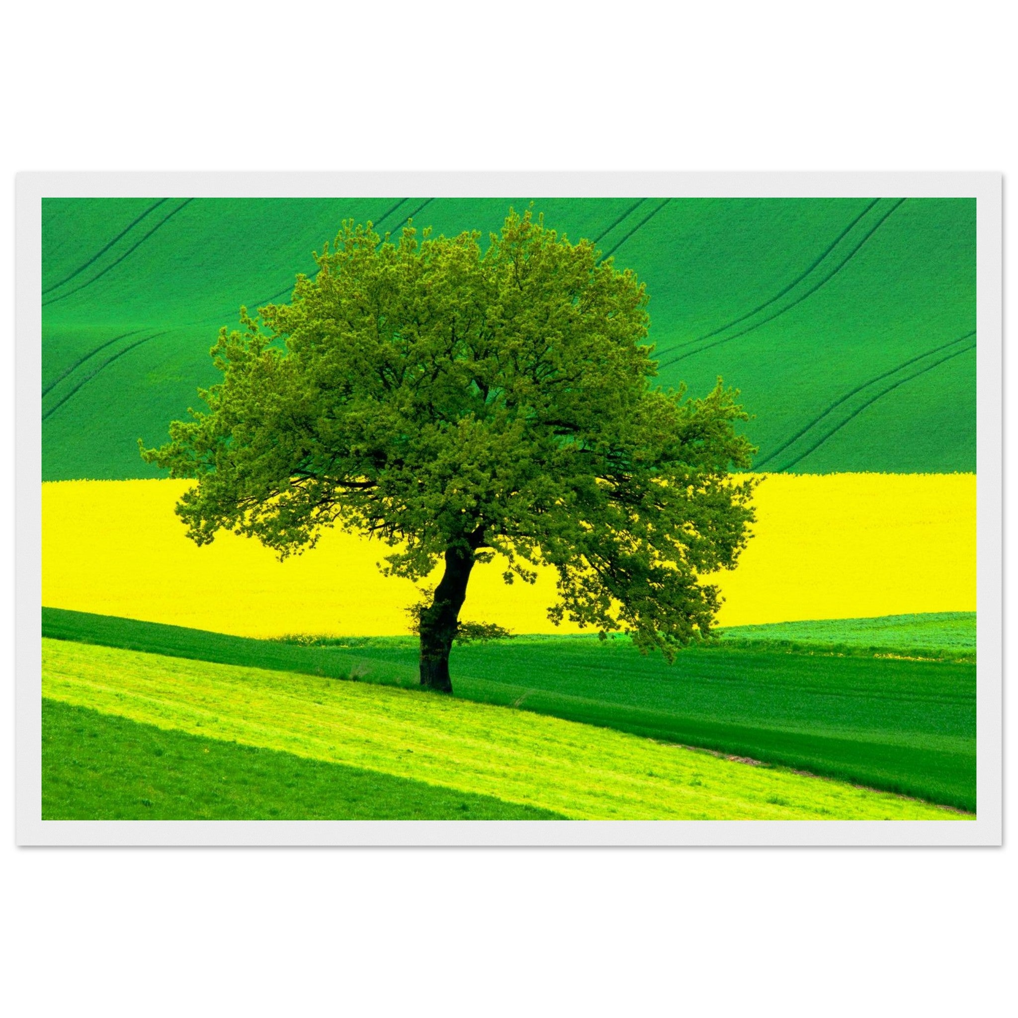 03178350-563f-447f-a622-5763868b6eef