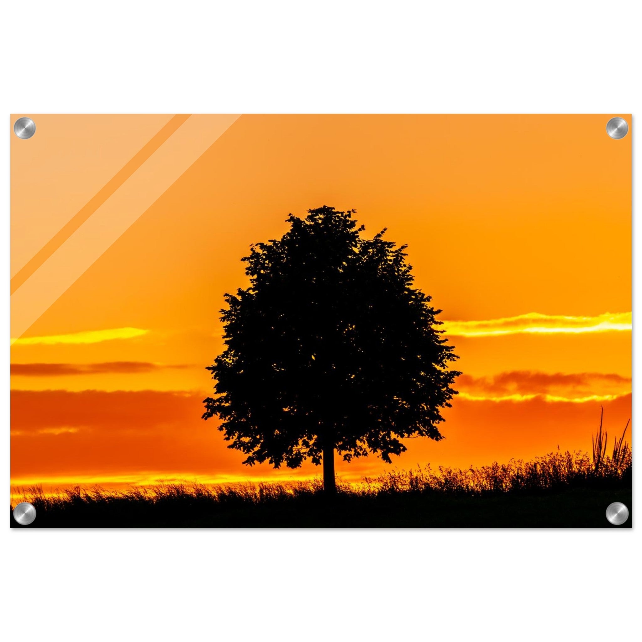 0a1c8354-fb3d-4586-ba09-40f88f442406