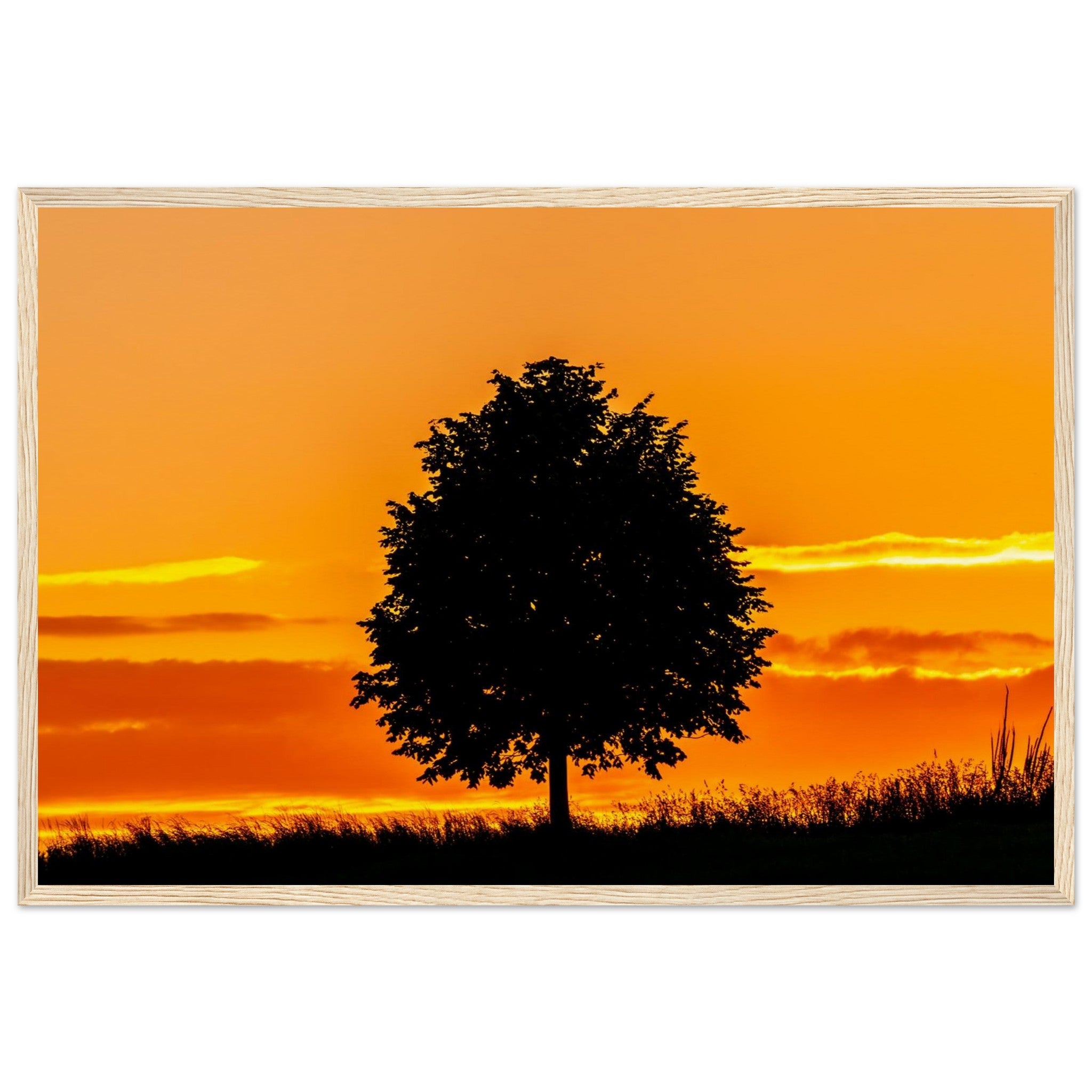 327880ec-2093-4720-9872-60dcd8f373ab