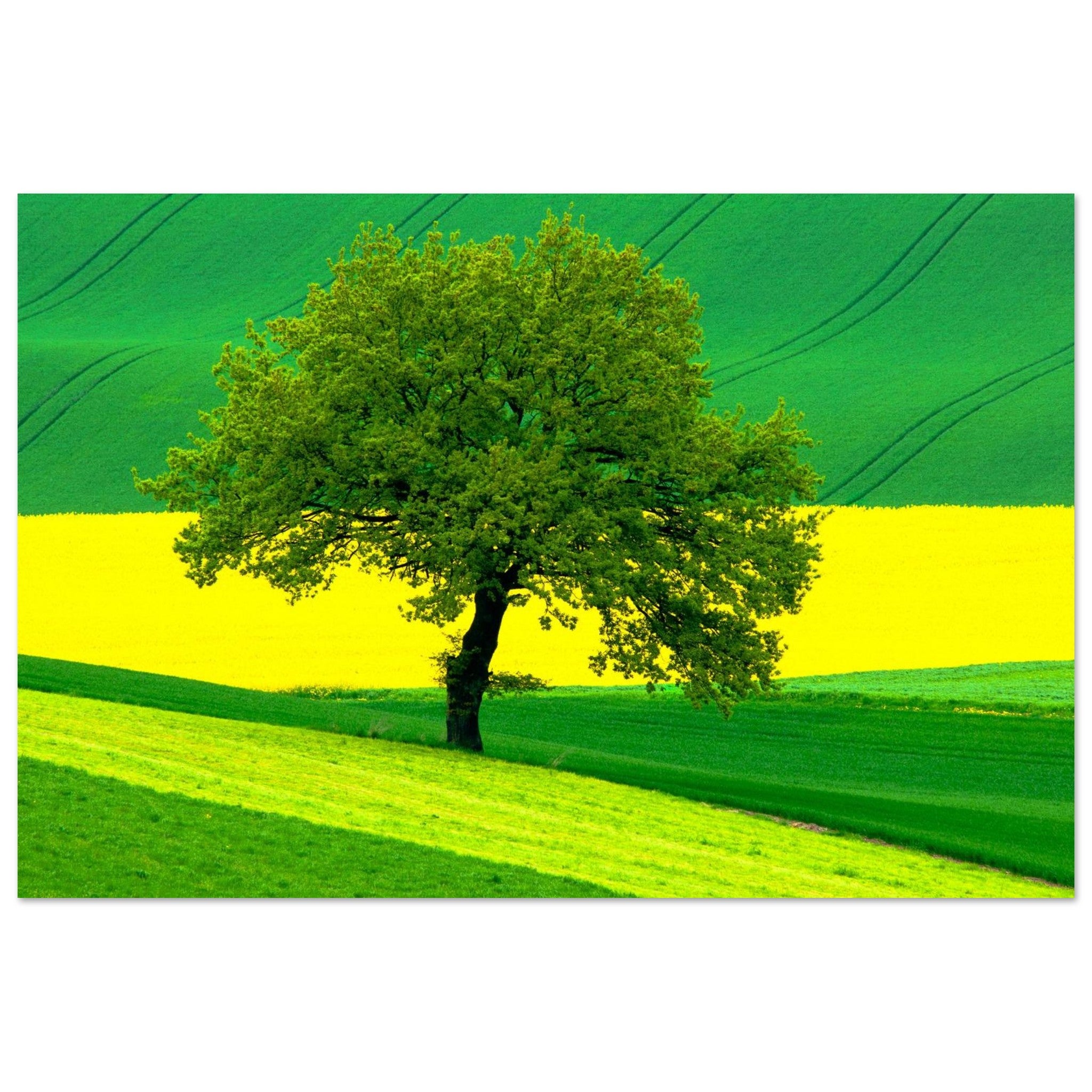 3693a63c-56ce-467c-9ff4-6617d2f11861