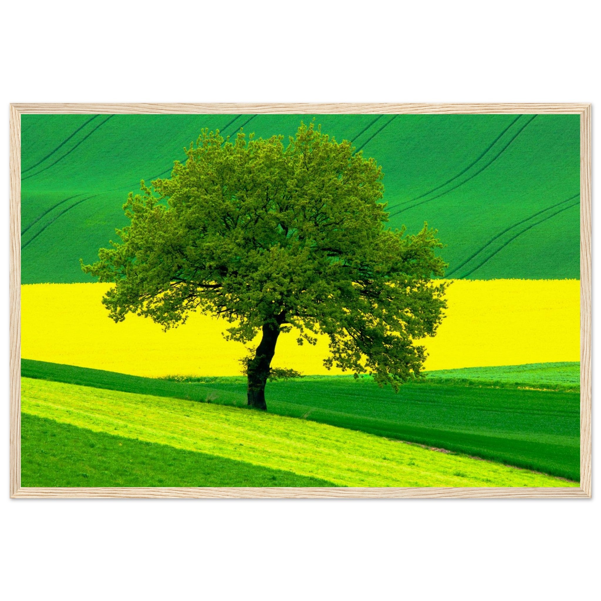 740e2ea7-6926-42ea-8124-ef421941ac12